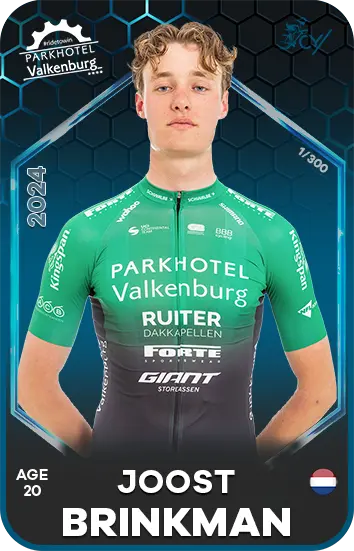 Image de BRINKMAN Joost