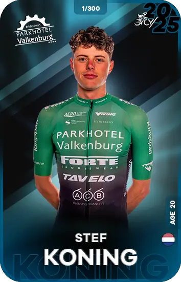 Image de KONING Stef