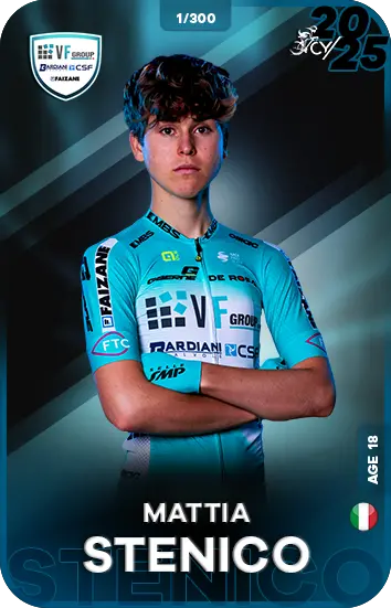Image de STENICO Mattia