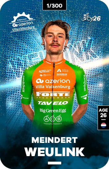 WEULINK Meindert