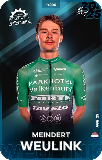 Image de WEULINK Meindert
